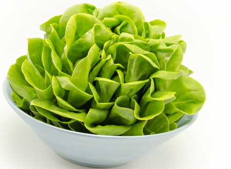 Fresh lettuce for saladsの写真素材