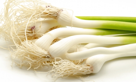 Bunch of garlicの写真素材