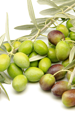 Freshly harvested olivesの写真素材