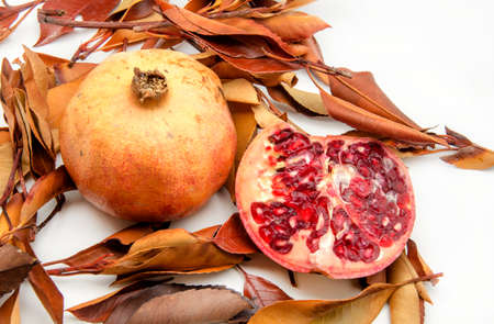 Fresh Pomegranates on background of autumn leavesの写真素材