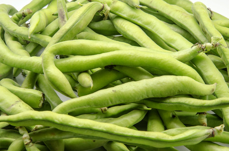 Several raw beans surrounded by white backgroundの写真素材