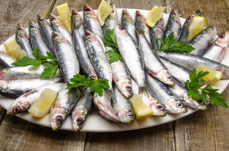Fresh sardines with parsley and lemon slicesの写真素材
