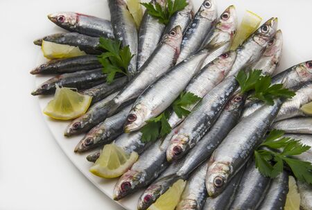 Fresh sardines with parsley and lemon slicesの写真素材