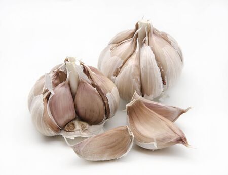 Several raw garlicの写真素材