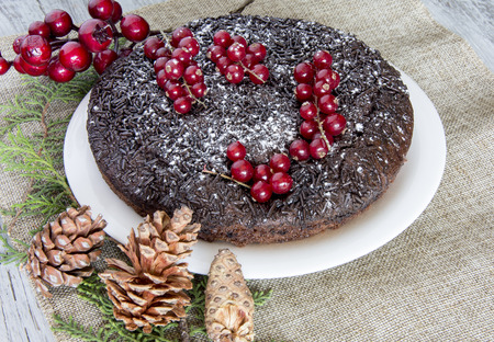 Chocolate Christmas cake with currantsの写真素材