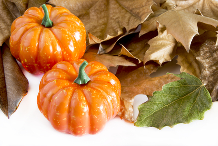 Pumpkin hallowen surrounded by dry autumn leavesの写真素材