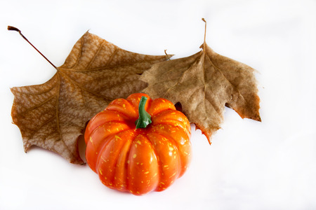 Pumpkin hallowen surrounded by dry autumn leavesの写真素材
