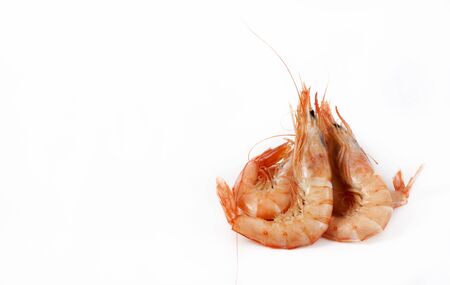 Cooked prawns on white backgroundの写真素材
