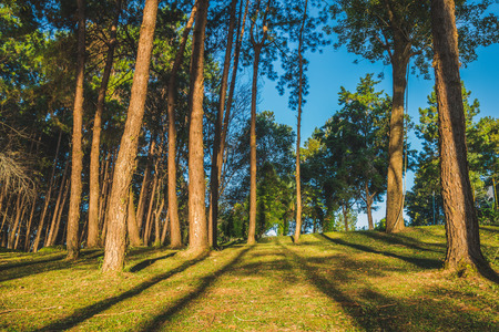 Pang Ung, Mae Aong Province, Thailandの写真素材