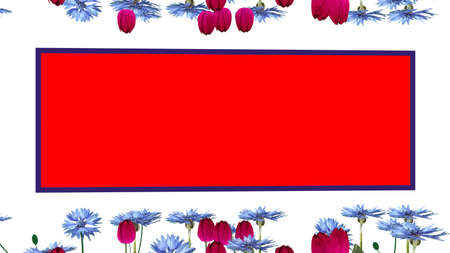 School black board and flower boarder with white backgroundの写真素材