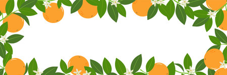 Horizontal banner featuring a border of orange branches, leaves, and flowers. Template with a citrus theme. Vector illustration.のイラスト素材