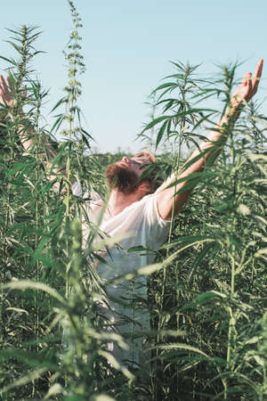 Young man with a long hair and bread in the middle of a hemp field