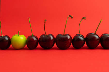 Line of cherries with a green plum to the left breaking the pattern on a deep red background.の写真素材