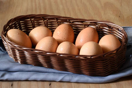 Eggsの写真素材