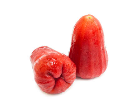 Rose apple fruit isolated on white background