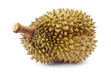 Durian thai fruit isolated on white backgroundの写真素材