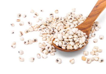 jobs tears grain seed with wooden spoon isolated on white backgroundの写真素材