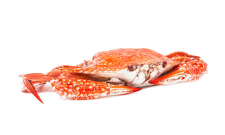 crab steamed seafood isolated on white backgroundの写真素材