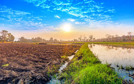 countryside landscape with green rice field in sunrise and cloudy blue skyの写真素材