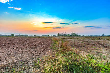 agriculture field landscape in harvest season with morning beautiful sunriseの写真素材