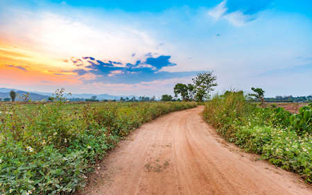 beautiful sunset at countryside landscape with rural road and agriculture field in harvest season of thailandの写真素材