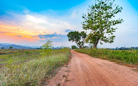 beautiful sunset at countryside landscape with rural road and agriculture field in harvest season of thailandの写真素材