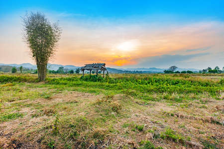 beautiful sunset at countryside agriculture dry field with the hut in harvest season of thailandの写真素材