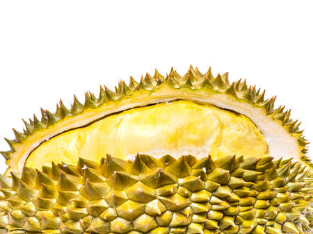 Durian Mon Thong the most popular thai fruit isolated in white backgroundの写真素材