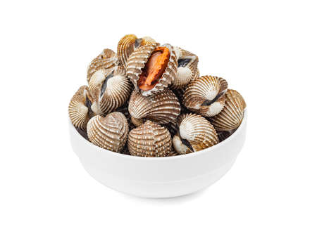 Cardiidae shellfish seafood in white bowl isolated on white background