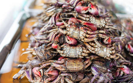 field crab pickled in fish sauce this is ingredient for papaya salad or somtum the most delicious local thai food you can find on side of yaowarat market street in Thailandの写真素材