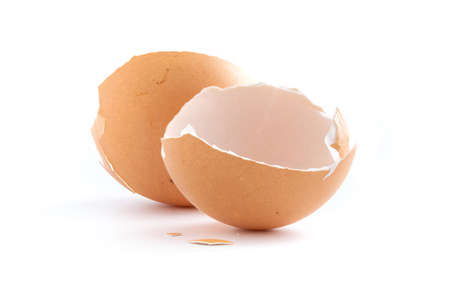 Broken eggshell like a new birth isolated on white background, Regeneration concept
