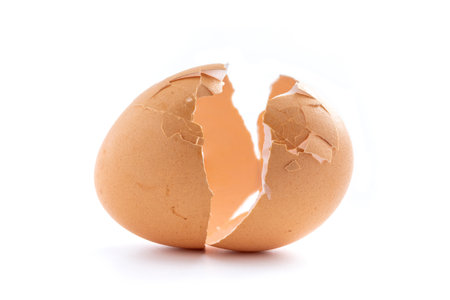 Broken eggshell like a new birth isolated on white background, Regeneration concept