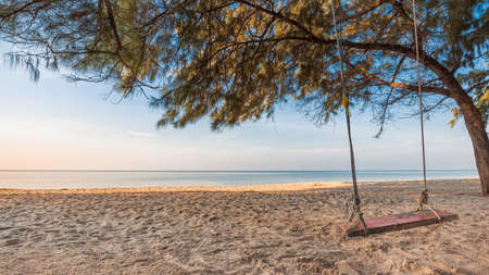 relaxing on the beach with rope swing under the pine  in summer vacation time, travelling and relaxing conceptの写真素材