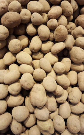 Lot of potatoes at market placeの写真素材