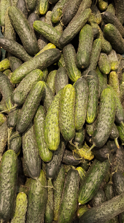 Lot of cucumbers at market placeの写真素材