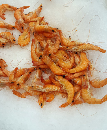 Lot of pink shrimp in ice at market placeの写真素材