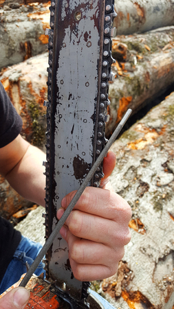 Man sharpening a chainsaw chain with file.の写真素材