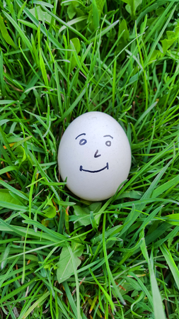 Face egg in the grassの写真素材