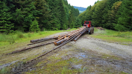 Tractor transporting the woodの写真素材