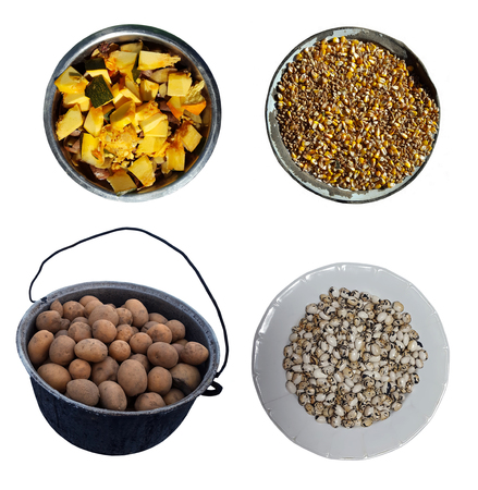 Vegetables in the bowls isolated on whiteの写真素材