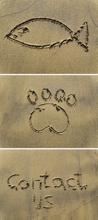 Fish, paw print and contact us drawing on sandの写真素材