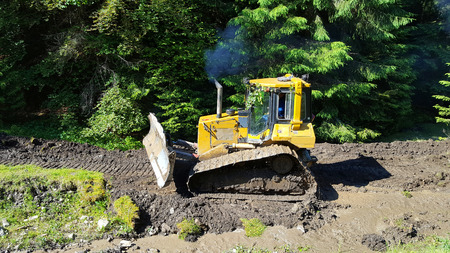 The bulldozer makes way in the forestの写真素材