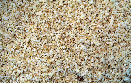 Ground walnuts backgroundの写真素材