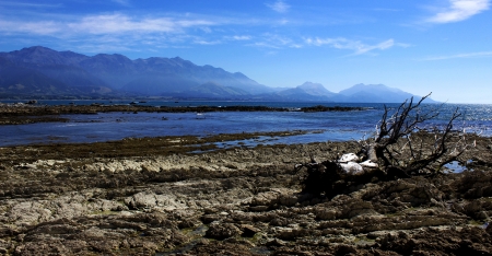 Kaikoura NZの写真素材