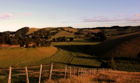Whangarei Dusk NZ