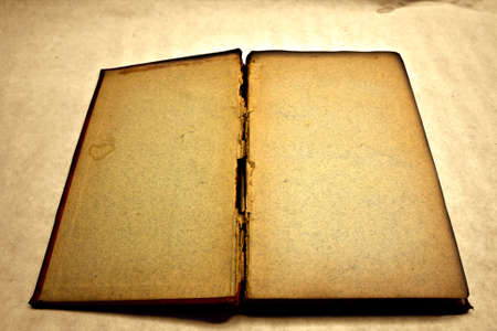 Blank and antique open book (vintage version)の写真素材