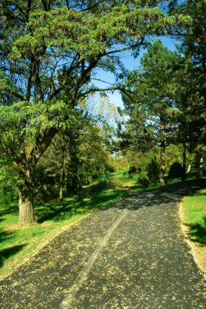 Serene and autumnal view of nice park alleyの写真素材
