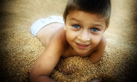Portrait of cute boy playing in corn seedsの写真素材