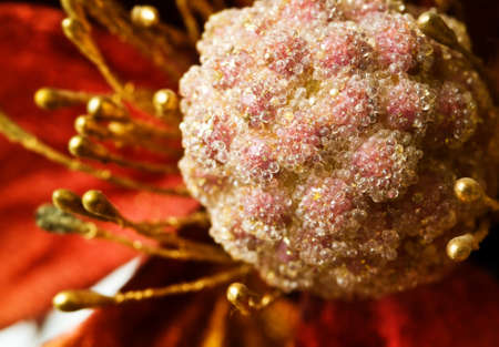 Macro view of crystal globules on ornamental flowerの写真素材
