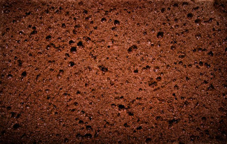 Textured background - macro view of brown natural spongeの写真素材